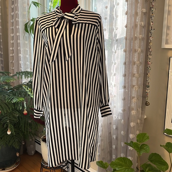 Not guilty of anything but looking beautiful! - Picture 4 of 8